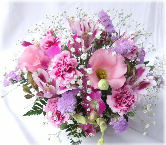 ラッキーボール　アレンジ【3,500円】【送料無料】【品質保証★花】【楽ギフ_包装】【楽ギフ_メッセ ...