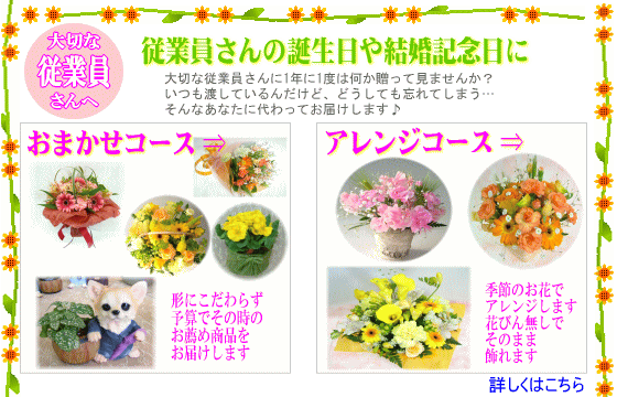 楽天市場 法人向けフラワー お祝い花専用フラワー6 000円 送料無料 あす楽対応 画像閲覧ok メッセージカード付き 楽ギフ メッセ 開店 退職 結婚祝い 新築 出産 フラワー 花 プレゼント あす楽 日曜営業 いいｈａｎａ倶楽部
