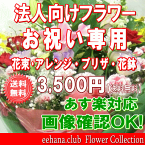 法人向けフラワー★お祝い花専用フラワー3,500円【送料無料】【あす楽対応】【画像閲覧OK！】【メッセージカード付き】【楽ギフ_メッセ】開店・退職・結婚祝い・新築・出産 フラワー 花 プレゼント【あす楽_日曜営業】