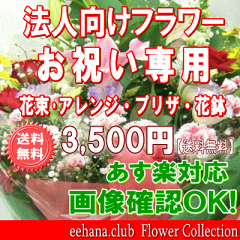 https://thumbnail.image.rakuten.co.jp/@0_mall/eehana/cabinet/biz/b-iw03-rr.gif