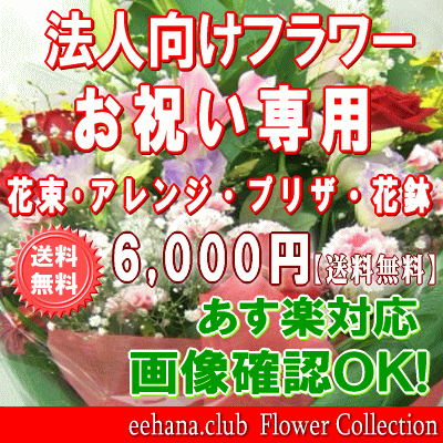 法人向けフラワー★お祝い花専用フラワー6,000円【送料無料】【あす楽対応】【画像閲覧OK！】【メッセージカード付き】【楽ギフ_メッセ】開店・退職・結婚祝い・新築・出産 フラワー 花 プレゼント【あす楽_日曜営業】