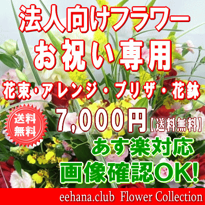 法人向けフラワー★お祝い花専用フラワー7,000円【送料無料】【あす楽対応】【画像閲覧OK！】【メッセージカード付き…