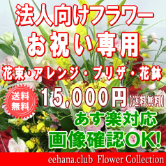 法人向けフラワー★お祝い花専用フラワー15,000円【送料無料】【あす楽対応】【画像閲覧OK！】【メッセージカード付き】【楽ギフ_メッセ】開店・退職・結婚祝い・新築・出産 フラワー 花 プレゼント【あす楽_日曜営業】