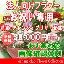 法人向けフラワー★お祝い花専用フラワー30,000円【送料無料】【あす楽対応】【画像閲覧OK！】【メッセージカード付き】【楽ギフ_メッセ】開店・退職・結婚祝い・新築・出産 フラワー 花 プレゼント【あす楽_日曜営業】