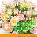 従業員用さんに贈る花★3,500円【送料無料】【あす楽対応】【楽ギフ_包装】【楽ギフ_メッセ】【楽ギフ_メッセ入力】