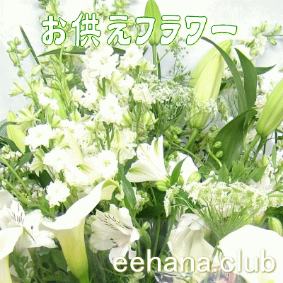 土日祝も営業【あす楽15時】お供え専用フラワー3,500円【送料無料】【花束 アレンジ 鉢物 プリザーブドフラワー】【お供え 法事 初盆 お盆 お悔やみ ご仏前】