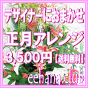 正月・迎春アレンジ★とってもお得デザイナーにおまかせフラワー3,500円【送料無料】【楽ギフ_包装】【楽ギフ_メッセ】【楽ギフ_メッセ入力】【あす楽対応】