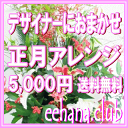 正月・迎春アレンジ★とってもお得デザイナーにおまかせフラワー5,000円【送料無料】【楽ギフ_包装】【楽ギフ_メッセ】【楽ギフ_メッセ入力】【あす楽対応】