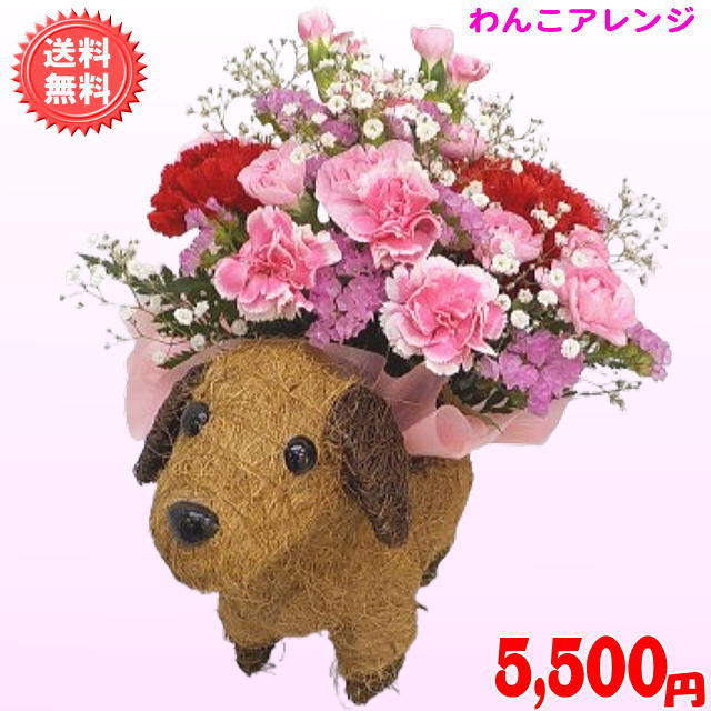 母の日 カーネーション★大人気！とってもかわいい わんこアレンジ5,500円【送料無...