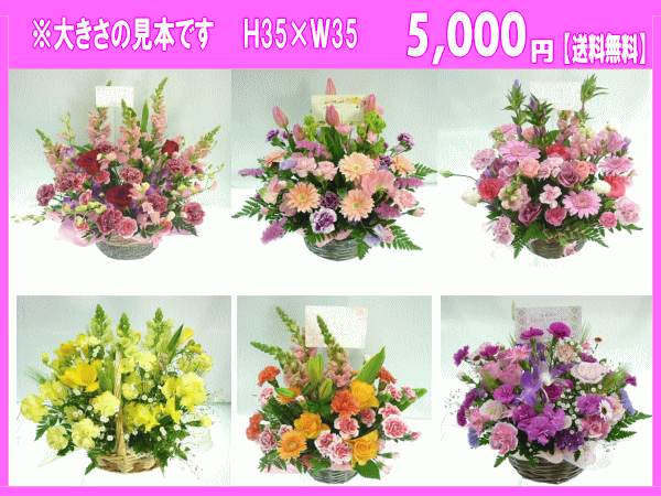 母の日花ギフト母の日専用★デザイナーにおまかせフラワー5,500円【送料無料】【ア...