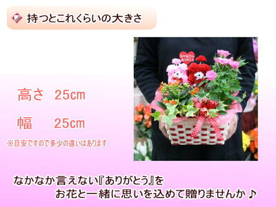 特割中!売れてます!2019母の日はちもの★マミーバスケット2,980円さらに!【送料無料】【プードルピック選択可能】【楽ギフ_包装】【楽ギフ_メッセ】【楽ギフ_メッセ入力】