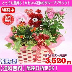 特割中!売れてます!2019母の日はちもの★マミーバスケット2,980円さらに!【送料無料】【プードルピック選択可能】【楽ギフ_包装】【楽ギフ_メッセ】【楽ギフ_メッセ入力】