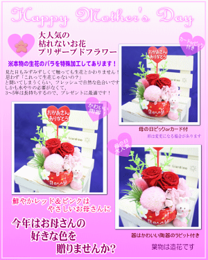 只今特割中!【大人気】2019母の日ラビットプリザシリーズ★いちごレッド!3,200円【送料無料】ネット特価!【楽ギフ_包装】【楽ギフ_メッセ】【楽ギフ_メッセ入力】
