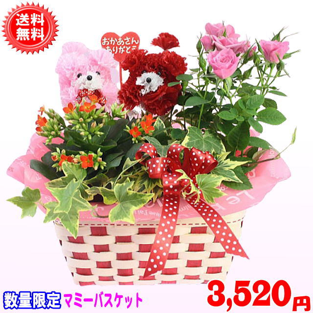 母の日ギフト特割中！売れてます！2025母の日はちもの★マミーバスケット3,520円【送料無料】【プ ...
