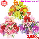 母の日 花 ギフト 当店人気No1★2025母の日★Happyアレンジ3,850円【送料無料】【プードルピック選択可能】【色が選べる!】ネット特価!【楽ギフ_包...