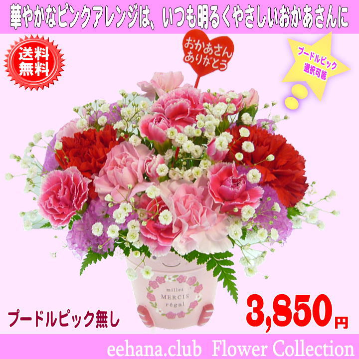 母の日 花 ギフト 当店人気No1★2026母の日★Happyアレンジ3,850円【送料無料】【プードルピック選択可能】【色が選べる！】ネット特価！【楽ギフ_包装】【楽ギフ_メッセ】【楽ギフ_メッセ入力】