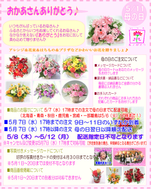 只今特割中!【大人気】2019母の日ラビットプリザシリーズ★いちごレッド!3,200円【送料無料】ネット特価!【楽ギフ_包装】【楽ギフ_メッセ】【楽ギフ_メッセ入力】