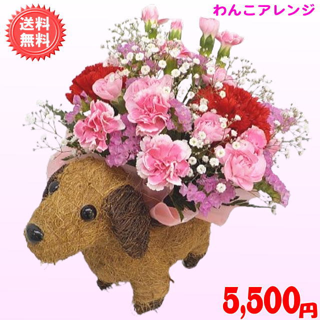 母の日 カーネーション★大人気！とってもかわいい わんこアレンジ5,500円【送料無...