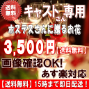 土日祝も営業【あす楽15時】ホステ