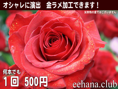 土日祝も営業!ホステス・キャバ嬢さん専用フラワー5,000円【送料無料】【あす楽対応】【画像閲覧OK!】【メッセージカード付き】【楽ギフ_メッセ】ホステス・キャバ嬢さん・姫誕生日フラワー花プレゼント【あす楽_日曜営業】