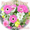 お祝い花専用フラワーFlower20,000円【送料無料】 【花束・アレンジ・はちもの・プリザーブドフラワー】 【色指定可能♪赤・ピンク・イエロー・ブルー・パー...