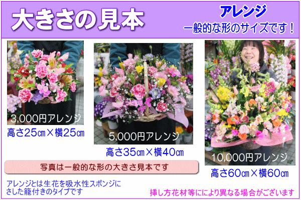 楽天市場 法人向けフラワー お祝い花専用フラワー7 000円 送料無料 あす楽対応 画像閲覧ok メッセージカード付き 楽ギフ メッセ 開店 退職 結婚祝い 新築 出産 フラワー 花 プレゼント あす楽 日曜営業 いいｈａｎａ倶楽部