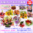 土日祝も営業 【最強配送15時まで】花 誕生日専用 バースデー ギフトフラワー3,000円【送料無料】【お花の画像見れます!】【メッセージカード付き】【楽ギフ_メッセ】【フラワーアレンジメント 花束 プリザ プレゼント】【翌日配達】【200円OFFクーポン進呈!】
