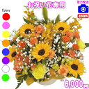 法人向けフラワー★お祝い花専用フラワー6,000円【送料無料】【あす楽対応】【画像閲覧OK!】【メッセージカード付き】【楽ギフ_メッセ】開店・退職・結婚祝い・新...