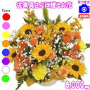 従業員用さんに贈る花★6,000円【送料無料】【あす楽対応】【楽ギフ_包装】【楽ギフ_メッセ】【楽ギフ_メッセ入力】