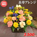 敬老の日!人気の長寿アレンジが!3,500円【送料無料】ネット特価!!【メッセージカード付き】【楽ギフ_メッセ】【楽ギフ_包装】