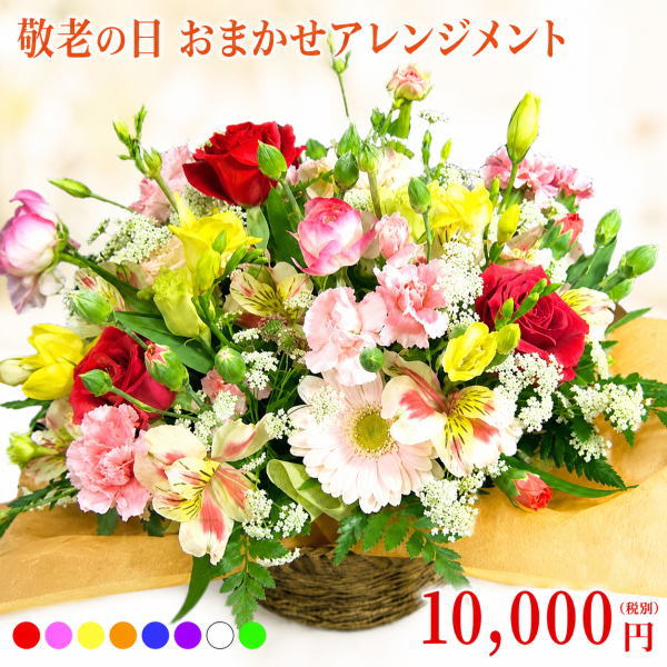 敬老の日専用デザイナーにおまかせフラワー★10,000円【送料無料】ネット特価！【メッセージカード付き】【楽ギフ_メッセ】