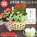 敬老の日!中津川「栗きんとん」+花鉢セットでなんと!5,280円【送料無料】★敬老の日限定セット!【メッセージカード付き】【楽ギフ_メッセ】【楽ギフ_包装】