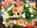 敬老の日★ビタミン満寿アレンジ5,500円【送料無料】ネット特価!!【メッセージカード付き】【楽ギフ_メッセ】【楽ギフ_包装】