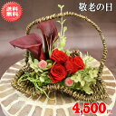 敬老の日花ギフト★和寿プリザーブドフラワー4,950円【送料無料】ネット特価!【メッセージカード付き】【楽ギフ_メッセ】【楽ギフ_包装】