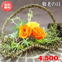 敬老の日★喜寿プリザーブドフラワー4,500円【送料無料】ネット特価!【メッセージカード付き】【楽ギフ_メッセ】【楽ギフ_包装】