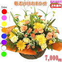 敬老の日専用デザイナーにおまかせフラワー★7,000円【送料無料】ネット特価!【メッセージカード付き】【楽ギフ_メッセ】