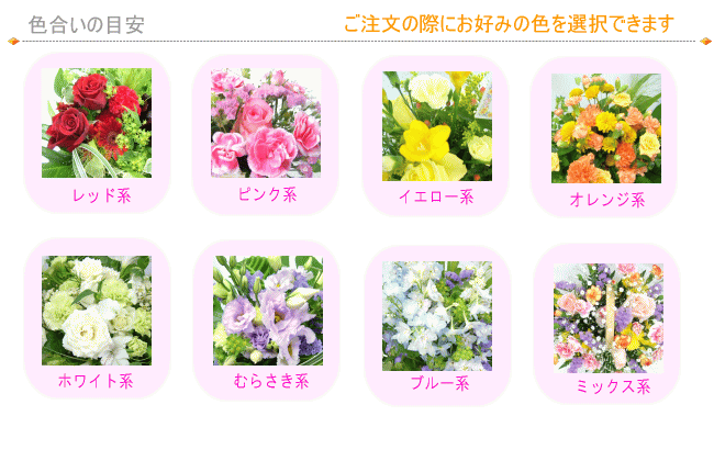 楽天市場 土日祝も営業 お祝い花専用フラワー3 500円 送料無料 あす楽対応 画像閲覧ok メッセージカード付き 楽ギフ メッセ 開店 退職 結婚祝い 新築 出産 フラワー 花 プレゼント あす楽 日曜営業 いいｈａｎａ倶楽部