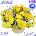 ペットのお供え・お悔やみに贈る花★清雲 3,500円【送料無料】ネット特価!【楽ギフ_包装】【楽ギフ_メッセ】【楽ギフ_メッセ入力】【あす楽対応】