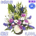 お供え・お悔やみに贈る花★紫蘭 3,500円【送料無料】ネット特価!【楽ギフ_包装】【楽ギフ_メッセ】【楽ギフ_メッセ入力】【あす楽対応】