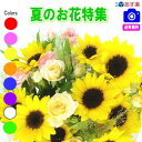 夏のお花★お得なデザイナーにおまかせフラワー12,000円【送料無料】【フラワーアレンジ・花束】【写真付きカード選択可】ネット特価!!【あす楽対応】