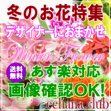 冬のお花★デザイナーにおまかせフラワー7,000円【送料無料】【フラワーアレンジ・花束】【写真付きカード選択可】ネ…