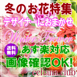 冬のお花★デザイナーにおまかせフラワー3,500円【送料無料】【フラワーアレンジ・花束】【写真付きカード選択可】ネット特価！！【あす楽対応】【201412thanks_1000】