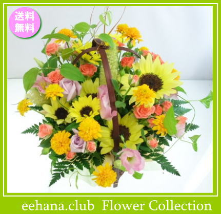 いいhana倶楽部 いいhana倶楽部