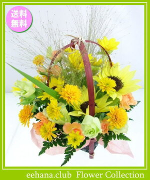8月の誕生花★スマイルアレンジ3,800円【送料無料】ひまわり【写真付きカード選択可】ネット特価!!【あす楽対応_東海】【あす楽対応_近畿】【あす楽対応_関東】【FGP0731_10】フェスティバル花0731×10