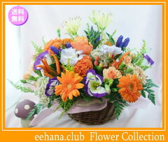 https://thumbnail.image.rakuten.co.jp/@0_mall/eehana/cabinet/ta/10-04aaa.jpg