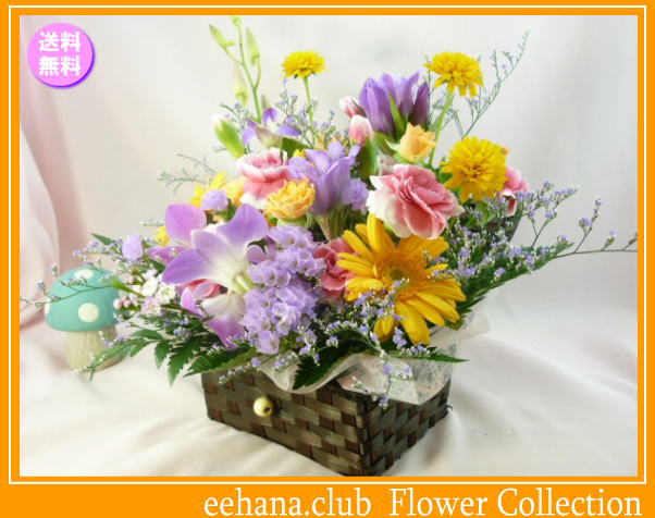 10月の誕生花★宝箱アレンジ3,500円