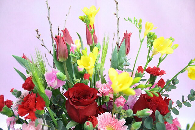 3��������֡���å��������6,000�ߡ�����̵���ۡڤ�����15���ۡ��ʼ��ݾڡ��֡ۡڲָ��ե������աۡڳڥ���_�����ۡڳڥ���_��å��ۡڳڥ���_��å����ϡۥե꡼������������ã�ۥץ쥼��� ���ե� ���� �ʥ�����