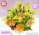 フリージアの花束 3月の誕生花★オレンジアレンジ3,500円【送料無料】【あす楽15時】【品質保証★花】【花言葉カード付】【楽ギフ_包装】【楽ギフ_メッセ】【楽ギフ_メッセ入力】フリージア【翌日配達】プレゼント ギフト 女性 ナチュラル