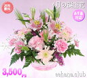 4月の誕生花★ピンクアレンジ3,500円【送料無料】花言葉付き【かすみ草】【四つ葉メッセージボトル選択可】【花言葉カード付き】【楽ギフ_包装】【楽ギフ_メッセ】【楽ギフ_メッセ入力】【あす楽対応】