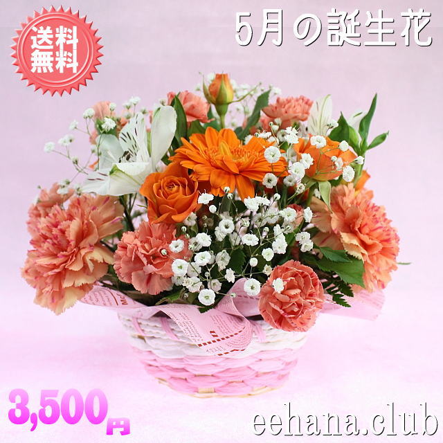 5月の誕生花★オレンジアレンジ3,500円花言葉カード付き